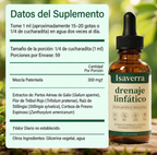 Drenaje Linfático — Gotas Naturales